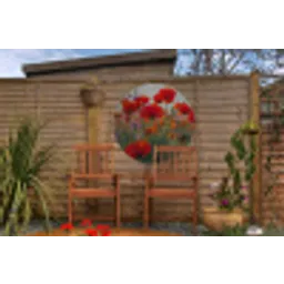 Klaproos - Bloemen - Rood - Paars - Weide Wandcirkel tuinposter met ringen klein -buiten3