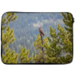 Uil - Oehoe - Bomen - Natuur laptophoes neopreen klein -zkaufland3dotto