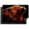 Schotse hooglander - Koe - Hoorns - Portret - Dieren Inductie beschermer vinyl 3mm klein -3d