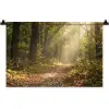 Zonlicht - Bospad - Bomen Wandkleed katoen klein -zz3d