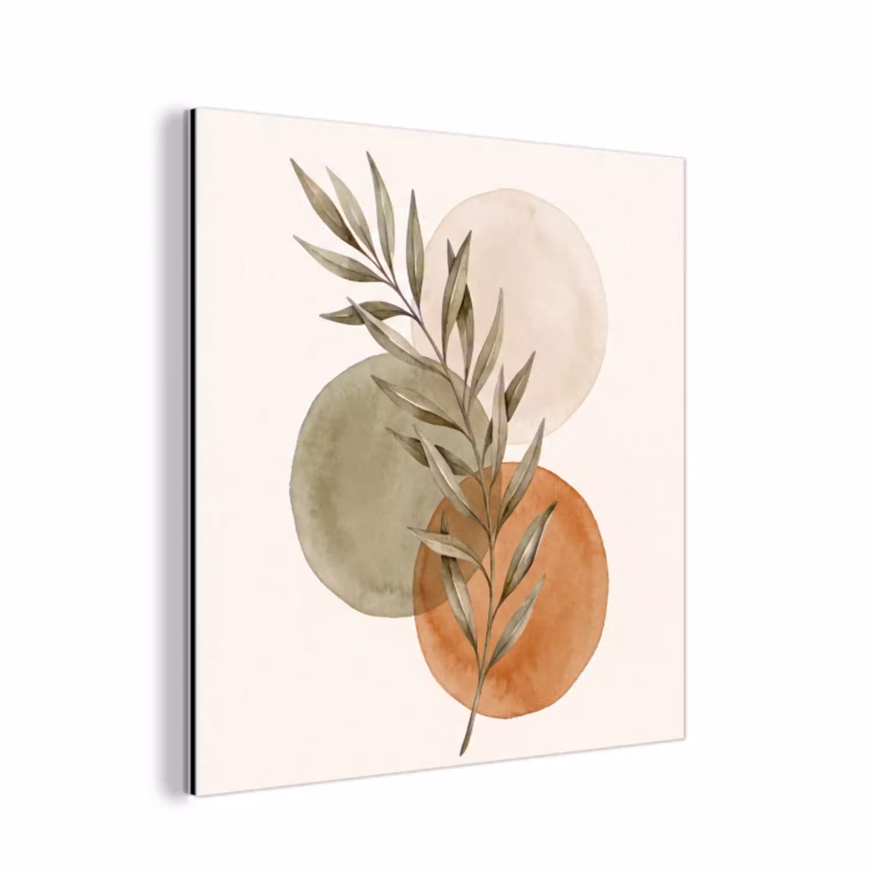Plant - Cirkels - Abstract aluminium wit klein -3d