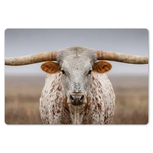 Longhorn - Grasveld - Dier Placemat vinyl groot -zzsfeer1_Kitchenyeah-website