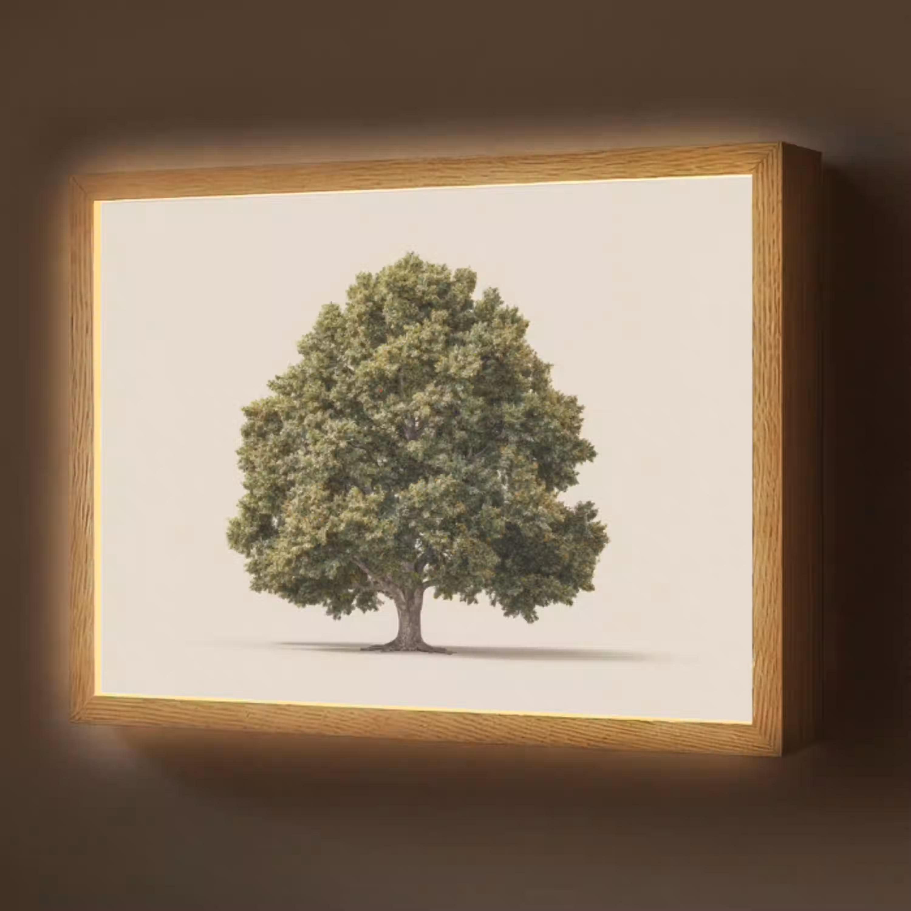 Eikenboom - Groen - Lichte achtergrond Light Box met batterij (Wandlamp) middel -z3d_website