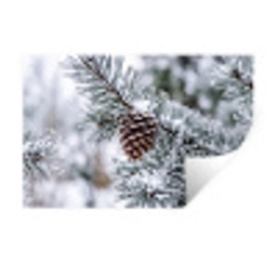Dennenappel - Tak - Sneeuw - Winter - Sfeervol Muursticker klein -3d