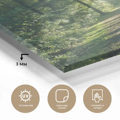Bos - Pad - Zon - Bomen - Groen - Natuur plexiglas 5mm klein -sfeer2