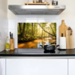 Bos - Beek - Zonlicht - Natuur - Groen Inductie beschemer met haakjes klein -sfeer2