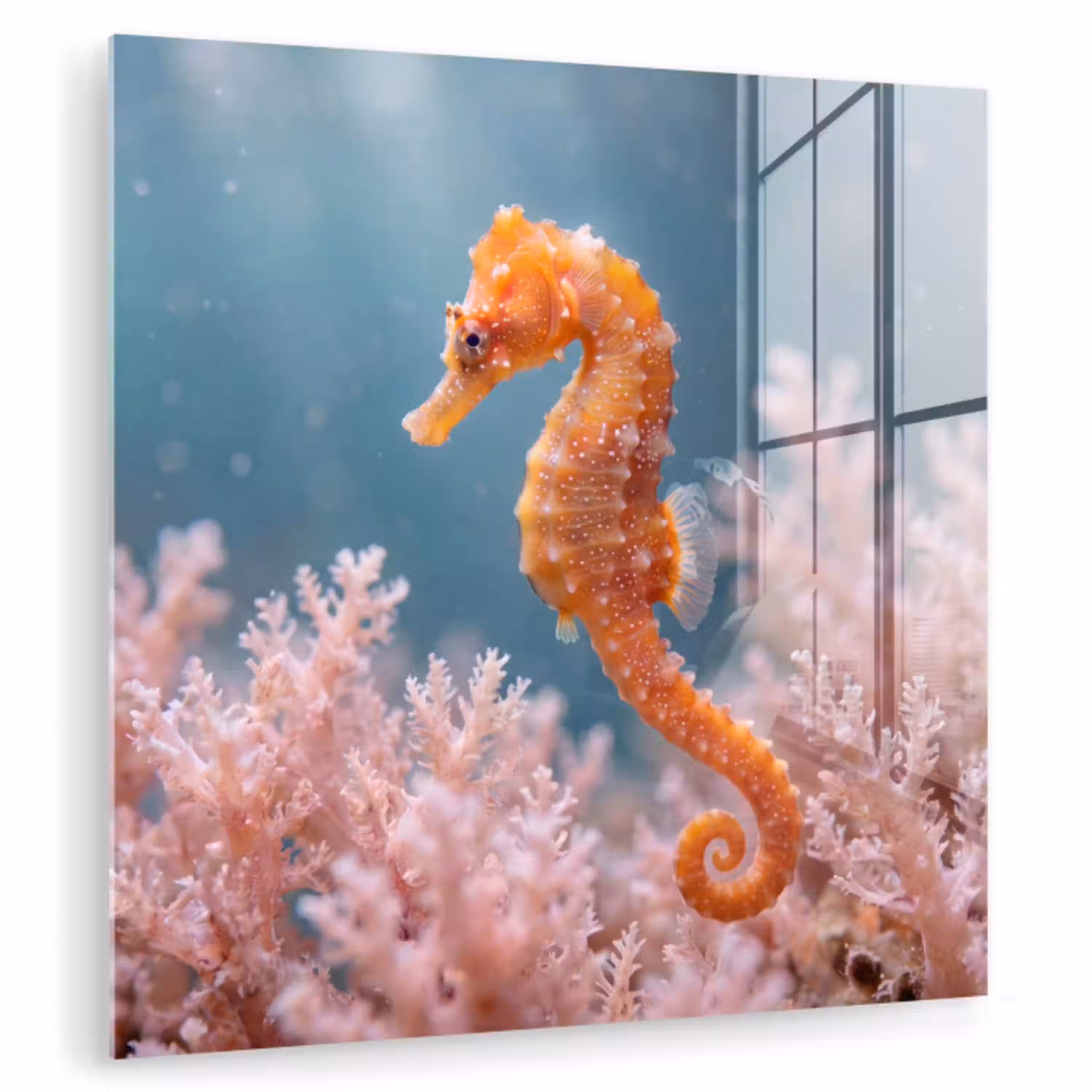 Vis - Koraal - Oceaan - Macro - Oranje plexiglas 5mm klein -zzzproduct_nieuw