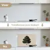 Eikenboom - Schaduw - Egaal keuken achterwand spatscherm klein -voor_na_NL