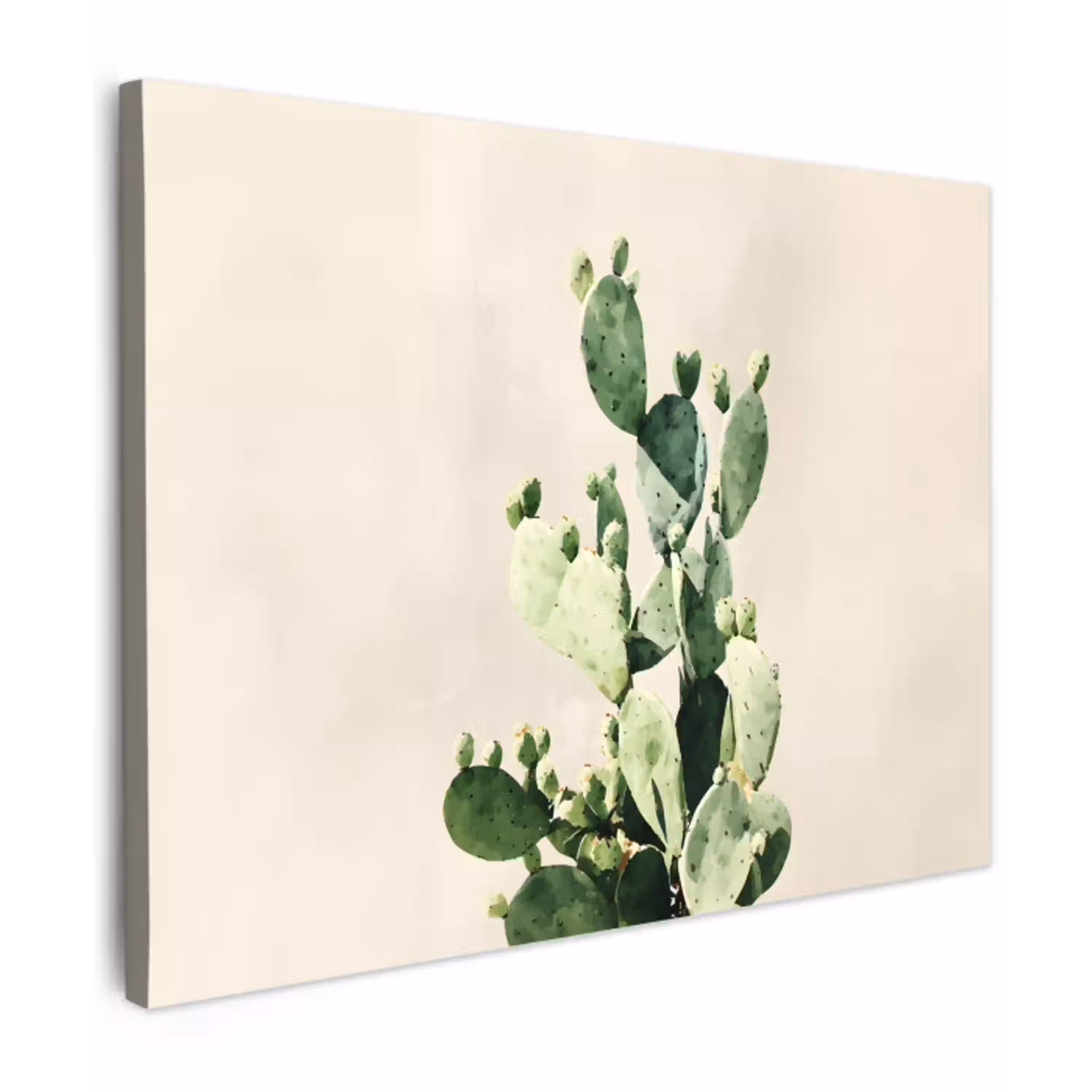 Cactus - Groen - Minimalistisch canvas 2cm middel -z3d