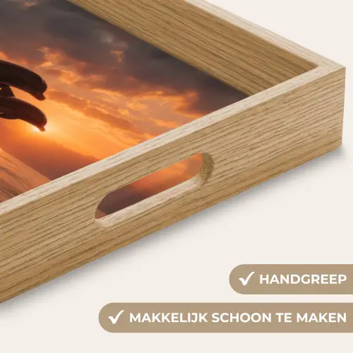 Dolfijnen - Zee - Realistisch Dienblad Rechthoek middel -USP_HandgreepNL