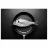 Pan - Vis - Zwart - Wit poster papier klein -3d