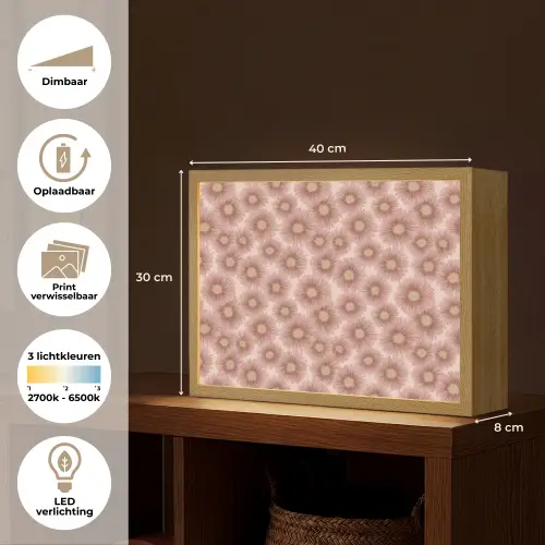 Gerbera - Bloemen - Roze Light Box met batterij (Wandlamp) middel 907 -USP_websiteoverzichtNL