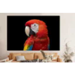 Ara - Portret - Rood forex 5mm xxl -bovenbank