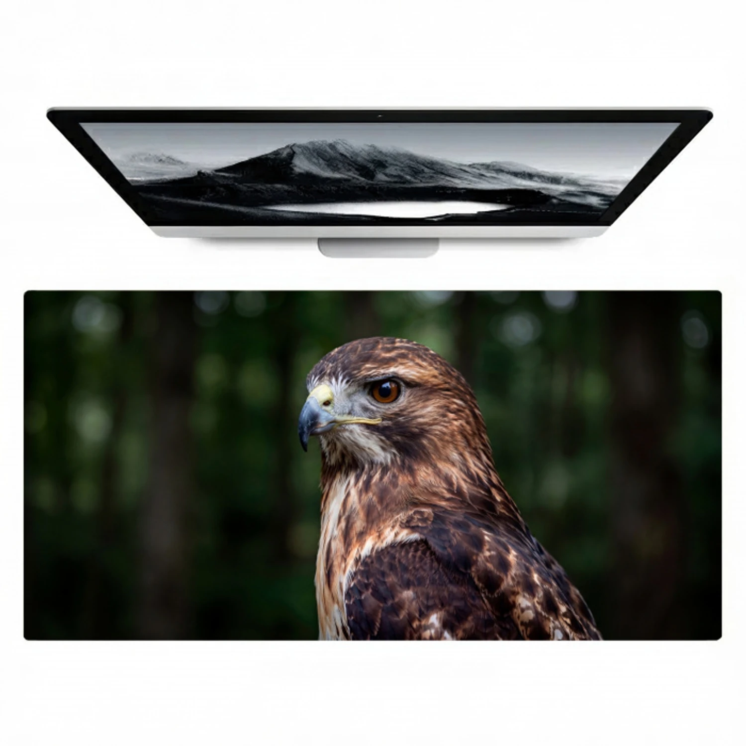 Buizerd - Roofvogel - Natuur - Bruin Muismat XXL klein -zzz3d