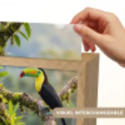Toekan - Jungle - Natuur - Kleurrijk Light Box met kabel (Kinderlampje) klein -USP_websiteprintFR