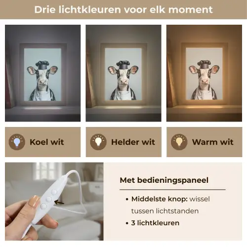 Koe - Zwart - Wit - Kok Light Box met kabel (Tafellamp) klein -USP_lichtkleurNL