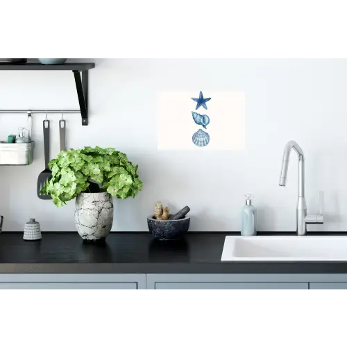 Zeester - Schelpen - Blauw Muursticker klein -keuken