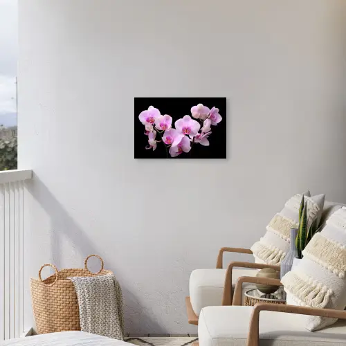 Orchidee - Bloemen - Roze - Flora Tuinposter op houten frame 2 cm dik klein -sfeer1