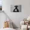 Coltrui - Hond - Bril - Mok tuinposter los doek klein -sfeer8