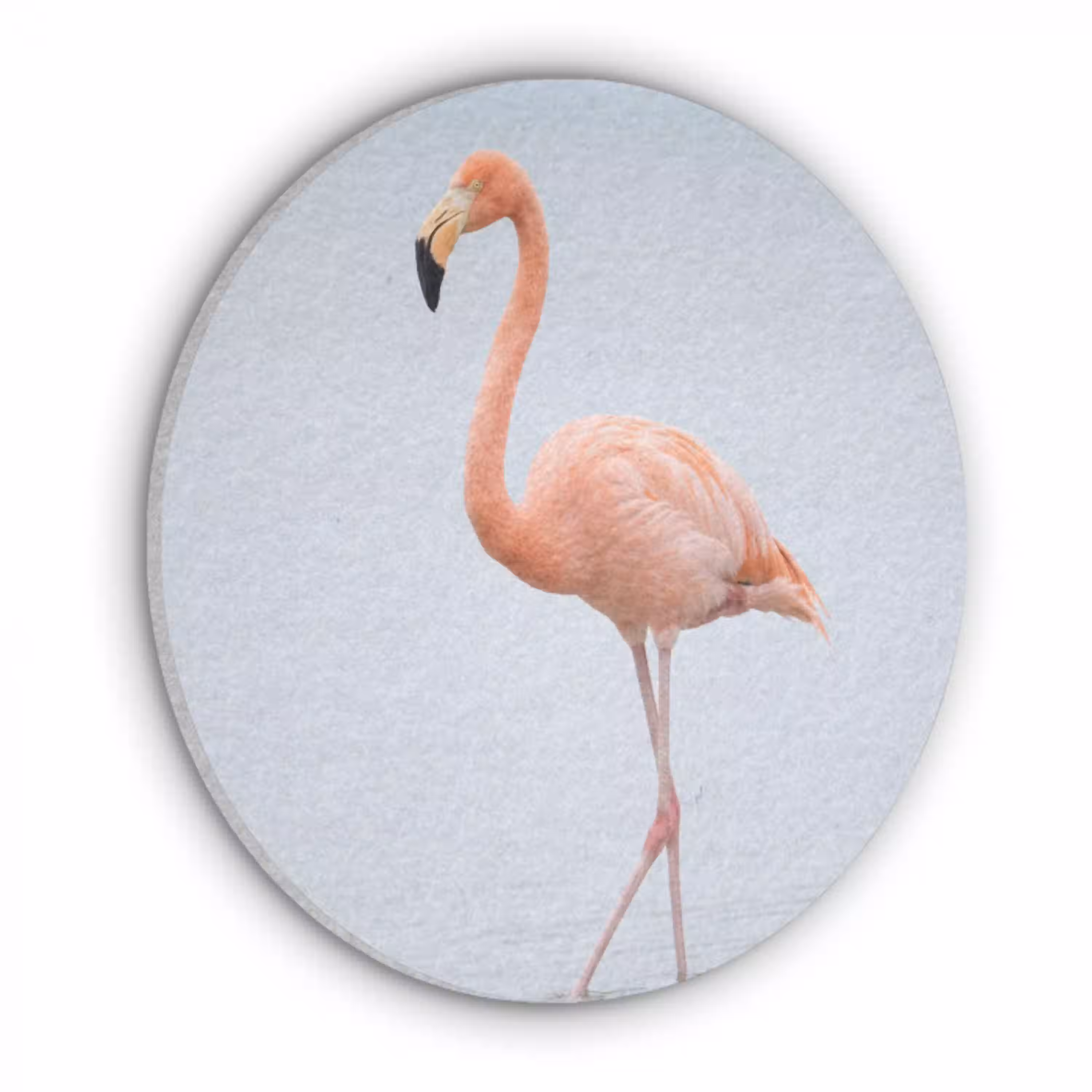 Flamingo - Zee - Roze Akoestische PET Vilt - Rond klein -3d