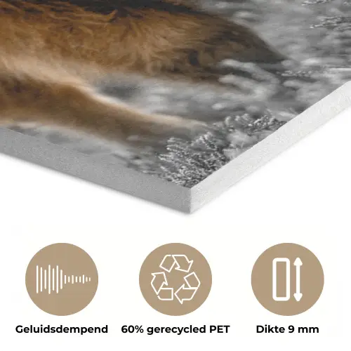 Schotse Hooglander - Dieren - Bruin - Koe - Zwart - Wit - Natuur PET vilt klein -closeup_NL