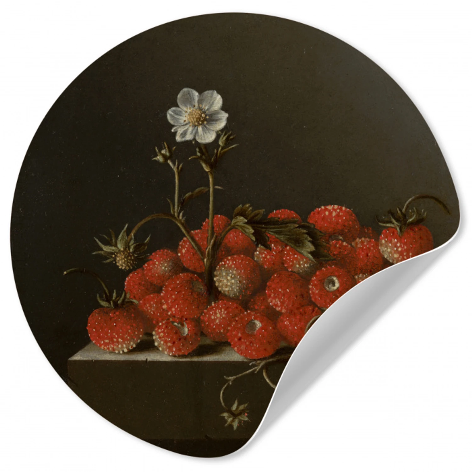 Stilleven met bosaardbeien - Schilderij van Adriaen Coorte Wandcirkel behangsticker klein -3d