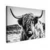 Schotse hooglander - Natuur - Koe - Zwart - Wit canvas 2cm klein -z3d
