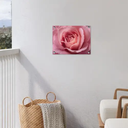 Roze - Roos - Romantisch tuinposter los doek klein -sfeer8