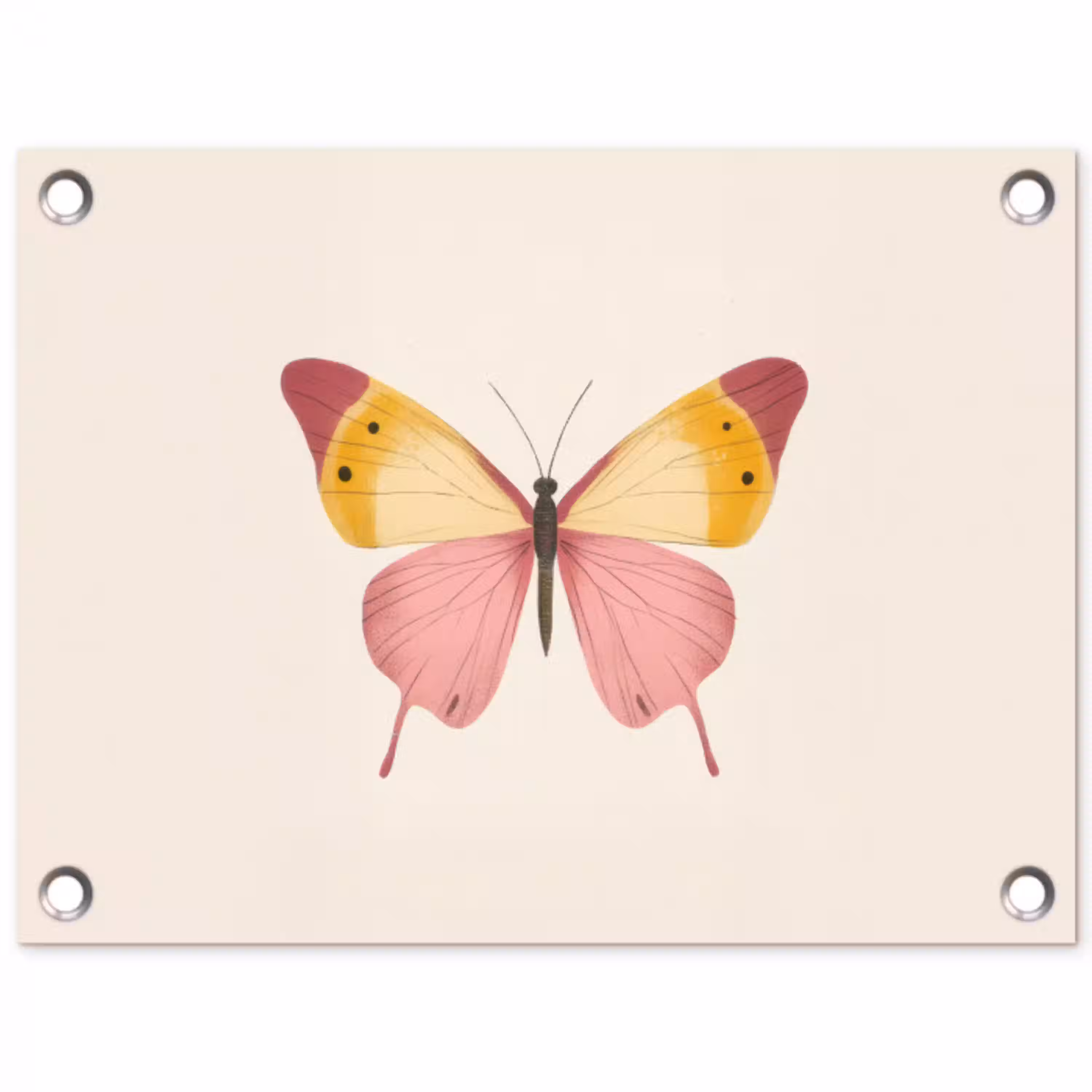 Vlinder - Illustratie - Roze tuinposter los doek klein -3d