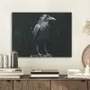 Raaf - Vogels - Zwart PET vilt klein -sfeer1