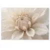 Bloem - Dahlia - Wit Deurmat klein -zkaufland3d
