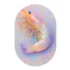 Garnaal - Subtiele structuur - Blauw - Roze Wandcirkel Ovaal Glas middel -3d