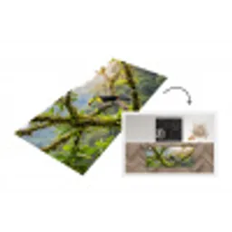 Toekan - Jungle - Natuur - Kleurrijk Keukenloper - keukenmat middel -3d