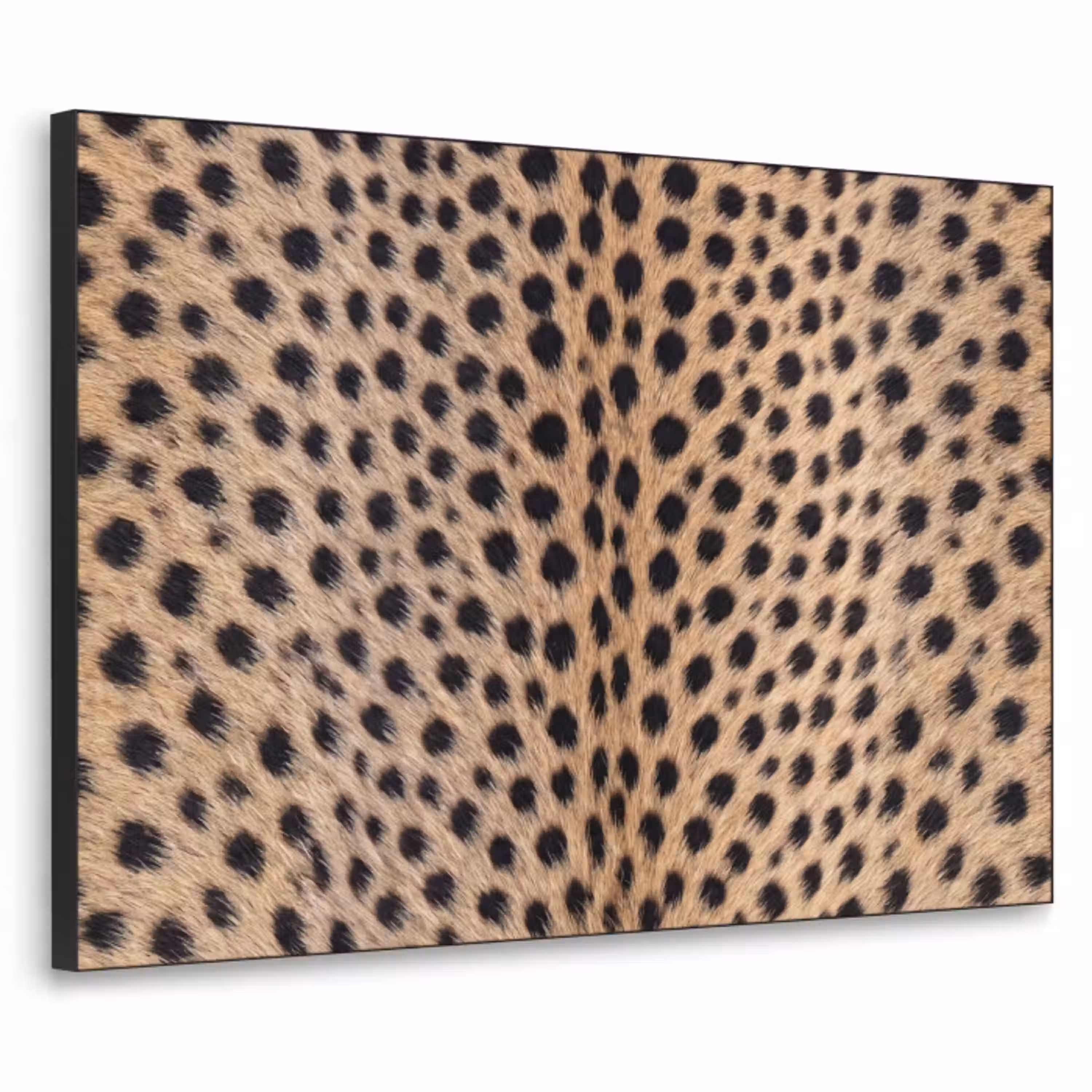 Vacht - Jachtluipaard - Zwart - Wit Textielframe zwart klein -3d