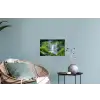 Jungle - Regenwoud - Water - Waterval - Planten Muursticker klein -plant