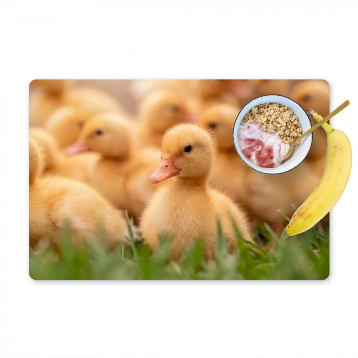 Pijltje - Eend - Natuur - Geel Placemat vinyl groot -zzzproduct_Kitchenyeah-website