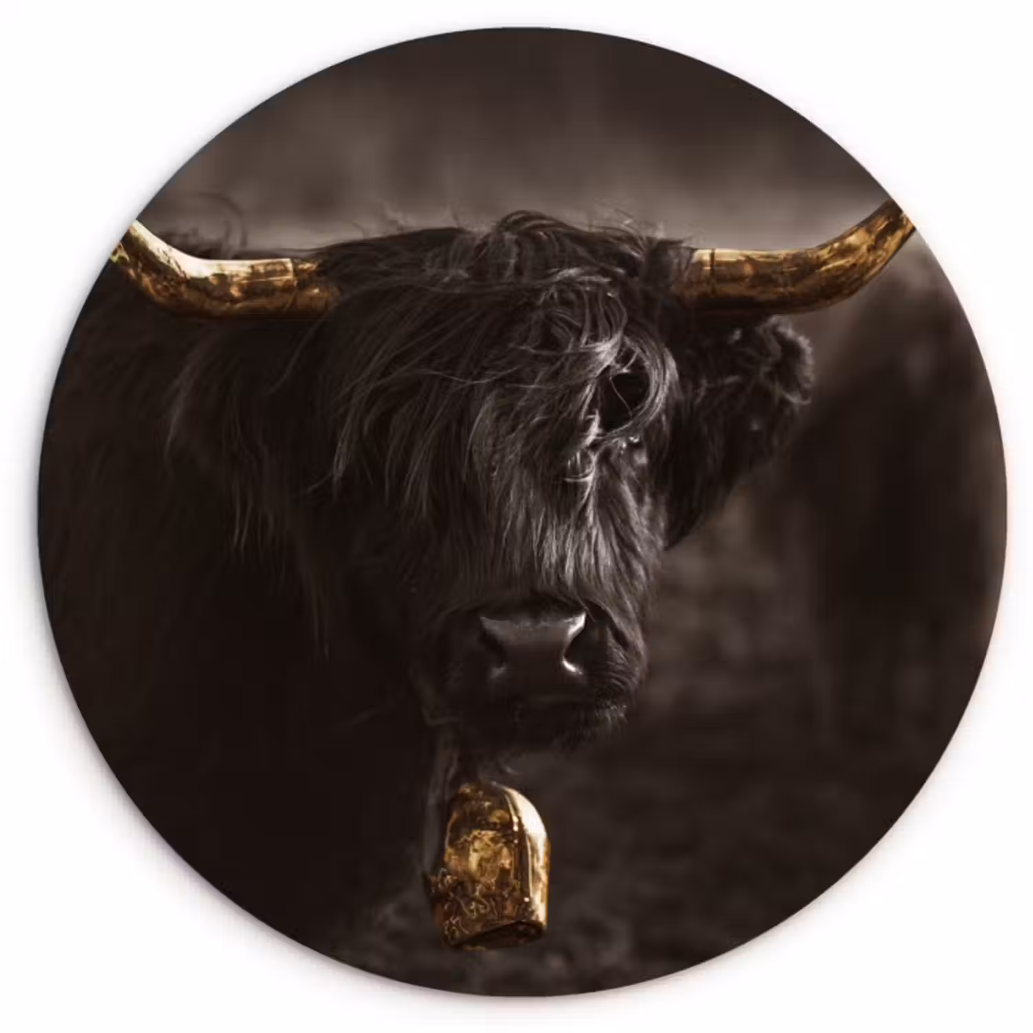 Muurcirkel - Schotse hooglander - Goud - Koebel - Hoorns - Dieren