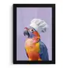 Papegaai - Koksmuts - Paars - Cute fotolijst zwart zonder passe partout klein -3d