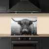 Schotse hooglander - Zwart - Wit - Gras keuken achterwand spatscherm klein -sfeer1