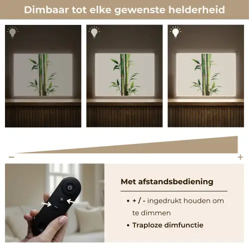 Bamboestengels - Sierlijk - Groen Light Box met batterij (Wandlamp) middel -USP_dimbaarNL