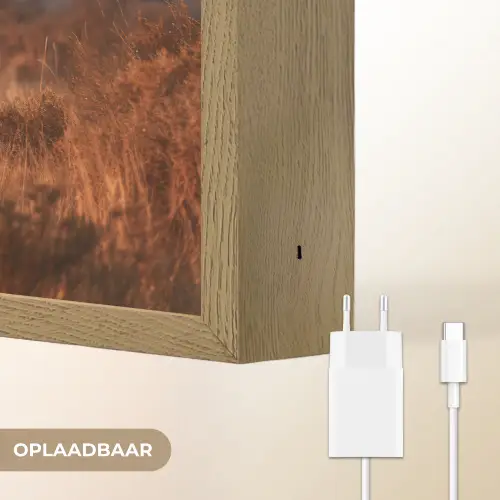 Giraffen - Hoog gras - Acaciabomen Light Box met batterij (Wandlamp) middel -USP_websiteoplaadbaarNL
