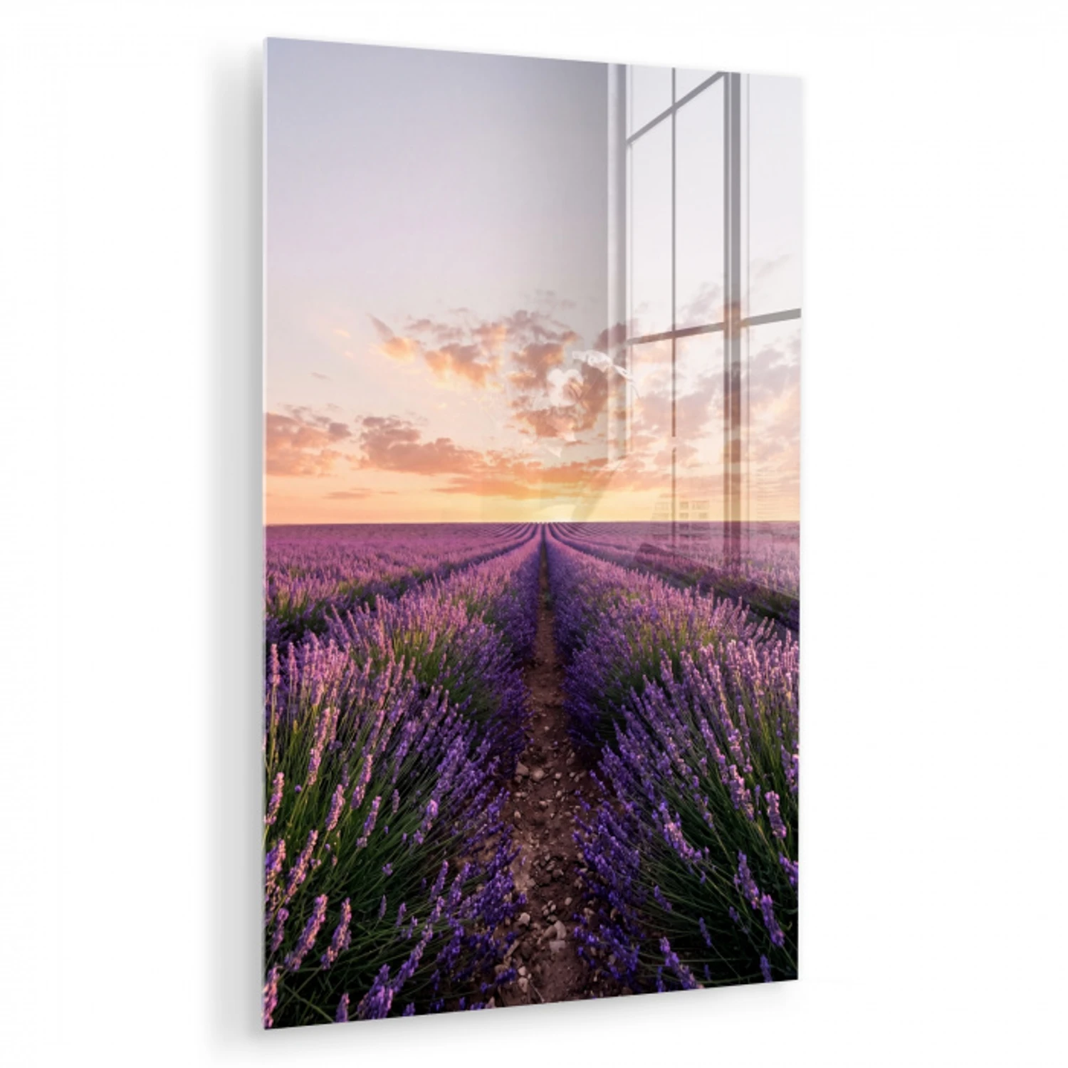 Landschap - Lavendelveld - Paars plexiglas 5mm klein -zzzproduct_nieuw