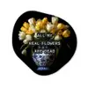 Quotes - Bloem - Tulp - Geel Wandcirkel Organisch Plexiglas middel -3d