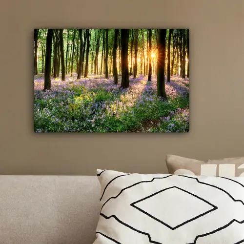 Bos - Bloemen - Lavendel - Zon - Paars - Natuur canvas 2cm klein -sfeer3