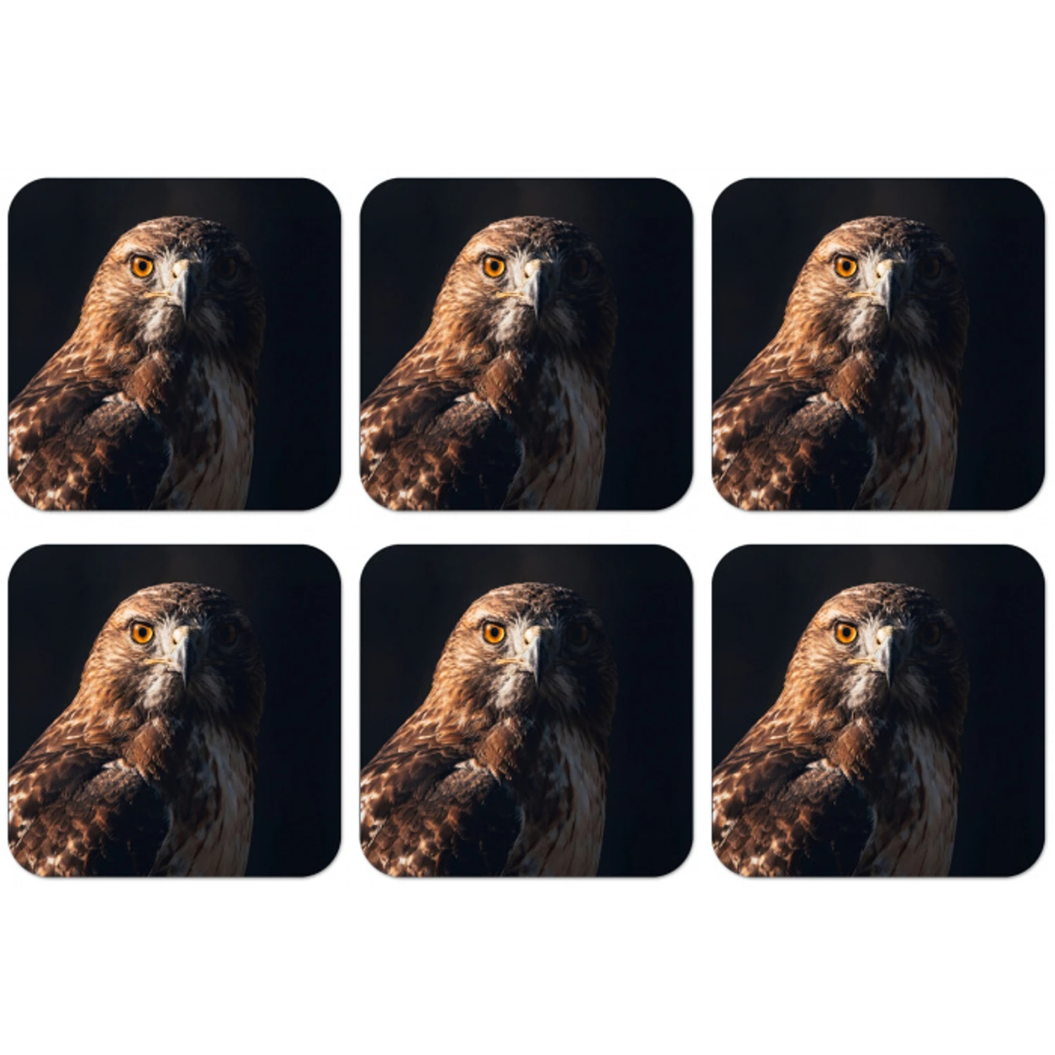 Roofvogel - Buizerd - Bruin onderzetter kurk middel -zkaufland3dotto