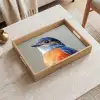 Kleurrijk - Vogeltje - Veren - Blauw Dienblad Rechthoek middel -sfeer1