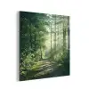 Bos - Pad - Zon - Bomen - Groen - Natuur aluminium wit klein -3d