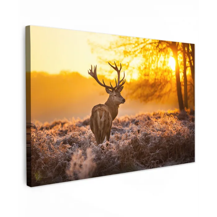Hert - Dieren - Zonsondergang - Winter - Heide - Natuur canvas 2cm klein -z3d