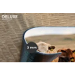 Runderen - Kudde - Landschap - Weide - Rustig Placemat vinyl groot -closeup