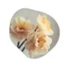 Narcissen - Geel - Bloemblaadjes Wandcirkel Organisch Forex 3mm klein -3d
